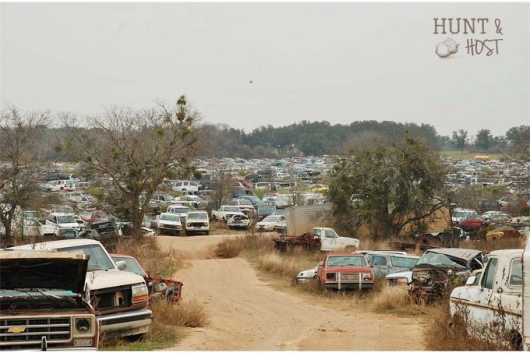 junk yard hunt and host