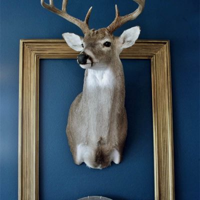 Lovin’ my guy Deer Decor Men Love