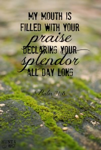splendor psalm 71 8