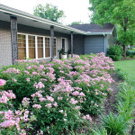 front yard curb appeal home tour