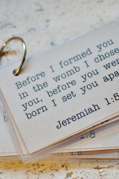 Free printable Bible verse memory cards. Hide God's word in your heart. www.huntandhost.net