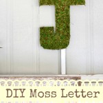 DIY moss letter tutorial