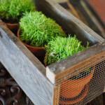 Magnolia Market inspired farmhouse crate DIY tutorial. Get Fixer Upper style on the cheap!