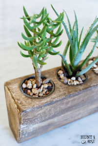 Mexican sugar molds make gorgeous succulent gardens. Check out this simple money saving tip to bring your succulent garden to life. www.huntandhost.net
