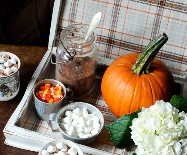 An old school flatware storage box gets a cozy makeover for Fall. Now it's the perfect hot chocolate station!