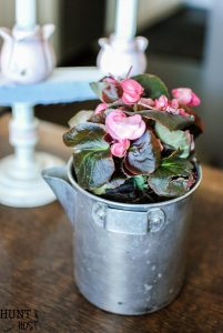 Thrifted planters make inexpensive and fresh spring décor. Try live Begonias or Violets this spring, along with fresh eggs, nests and Easter bunnies for simple and elegant spring decorating ideas.