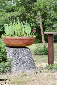 Master Gardener Home Garden Tour: Walk through this homeowner completed ladscape filled with salvaged planters, upcycled accents, creative flower bed borders, inventive erosion control, bee hives and curb side bird baths.