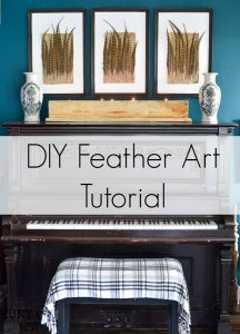DIY Pheasant feather art tutorial. This easy DIY art tutorial will provide you with elegant artwork for your home with a budget friendly price!
