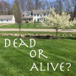 Protect Your Roots: Dead or Alive. Part of the Grow Your Faith series from Hunt & Host blog.
