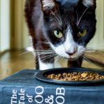 This is the cutest cat food bowl made from an old book, full tutorial for a smarty cat food dish.