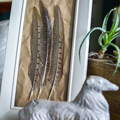 DIY Small Feather Picture