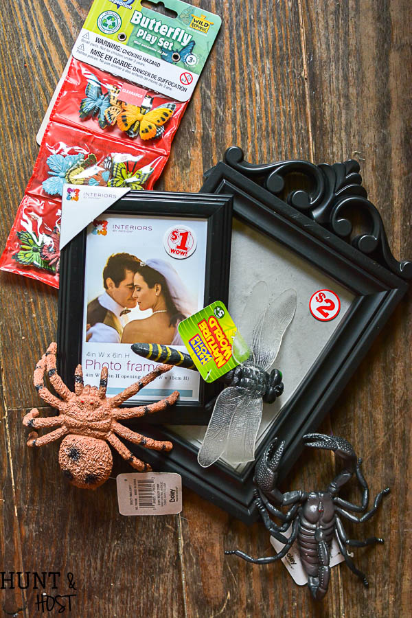 Catch how to make your own DIY gilded bug display case for Halloween with supplies from the dollar store, halloween decorating ideas don't have to be expensive!