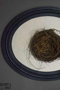 Turn a fallen nest into art and use it as inspiration to build up your family. Bird nest art and wasp nest art make gorgeous wall statement pieces.