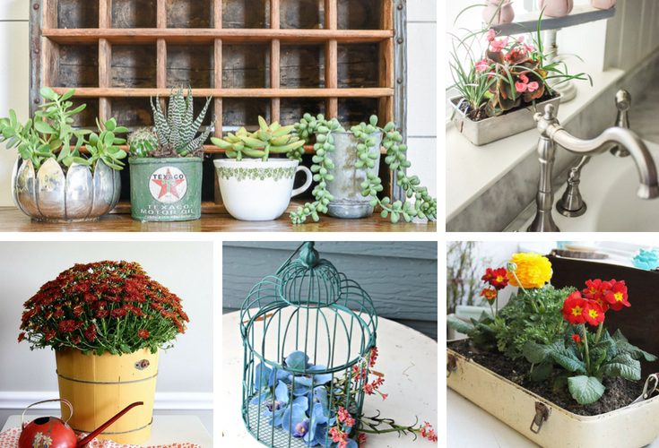 Browse through these charming thrifted planter ideas to add some unique whimsy to your house plant ideas. They are perfect for house plants on a budget! #houseplants #charming #thriftedplanter #houseplant #plantlady