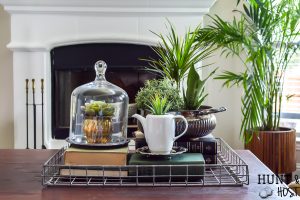 Adding vintage items to your coffee table décor is the perfect way to add age and interest to your living room. WIth these coffee table styling tips you will have your tabletop vignette rocking a vintage vibe in no time! #vintagestyle #coffeetabledecor #plantlady #mixedmetaldecor #vintagesilver #coffeetable