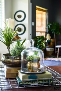 Adding vintage items to your coffee table décor is the perfect way to add age and interest to your living room. WIth these coffee table styling tips you will have your tabletop vignette rocking a vintage vibe in no time! #vintagestyle #frenchcountrycottage #frenchcountryliving #tarnishedsilver #succulentlove #clochedecor