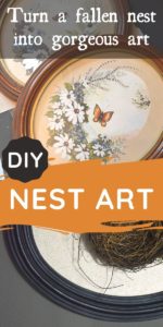 Turn a fallen bird nest into DIY art. This nature art project is a gorgeous craft you can make for your budget home decor with thrifted and found finds from nature. Display a fallen bird's nest in your home decor with style, it's easy! #nestdecor #springdecor #natureart #frameupcycle