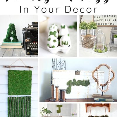Fun Ways To Use Moss In Your Decor