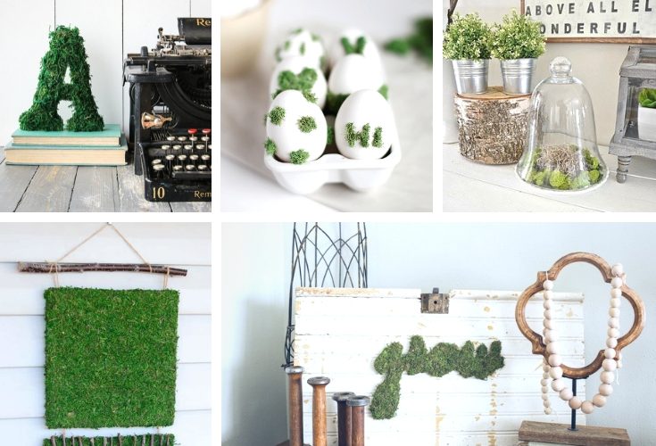 a collection of fun ways to use moss in our decor, these DIY moss craft ideas will give you a fresh start to decorating with new wall art, moss signs, moss pictures and many other easy moss tutorials. #mossdecor #mosstips #mosscraft #springdecor #dollarstorecraft #easyDIY #greenthumb