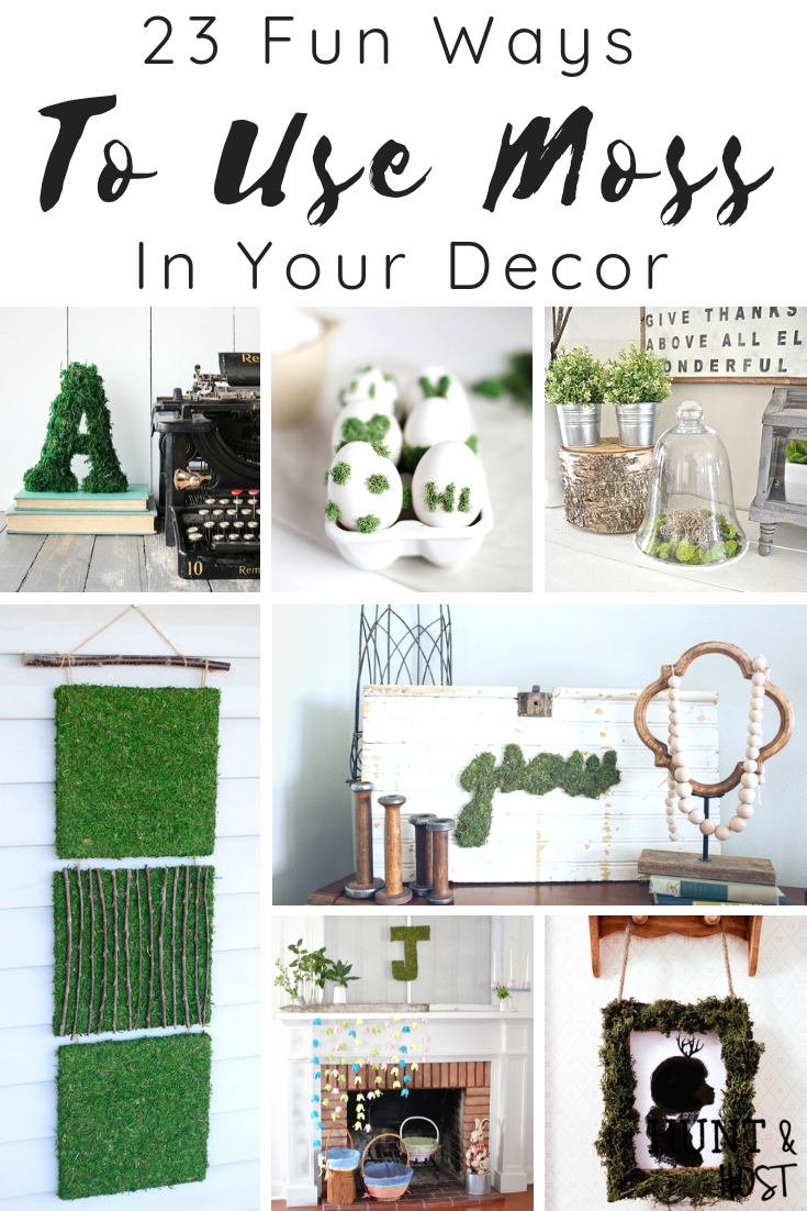 Simple and Easy DIY Ideas with moss