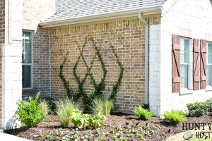 Add a gorgeous focal point to your landscape by adding this diamond patterned wire trellis to your yard. Easy DIY wire trellis you can complete in an afternoon along with a trellis plant selection idea list! #tellis #gardentip #DIYlandscape #trellisplants #englishgarden