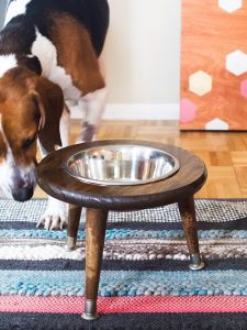 These cute pet bowl ideas are the perfect way make your pet's feeding station part of your decor. Love on your furry friend with these DIY dog bowl stand ideas and cute cat bowl DIY stnads. We all know the way to a pet's heart is through their stomach! Might as well have their food bowls looking cute. #catfoodbowlideas #cutepets #petfoodstation #dogfoodideas #catfoodideas #personalizedpet #furryfriendlove #DIYpetideas