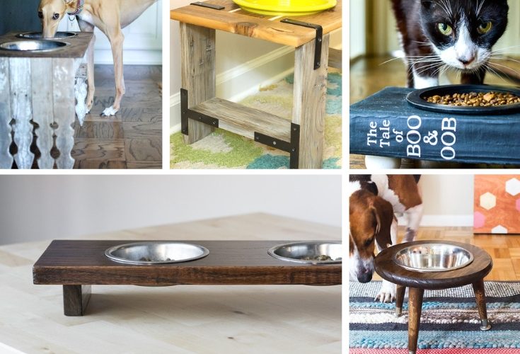 These cute pet bowl ideas are the perfect way make your pet's feeding station part of your decor. Love on your furry friend with these DIY dog bowl stand ideas and cute cat bowl DIY stnads. We all know the way to a pet's heart is through their stomach! Might as well have their food bowls looking cute. #catfoodbowlideas #cutepets #petfoodstation #dogfoodideas #catfoodideas #personalizedpet #furryfriendlove #DIYpetideas