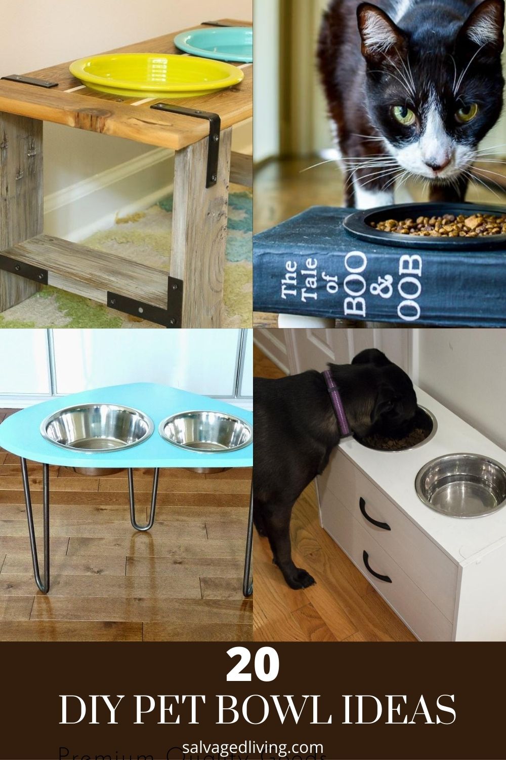 34 Best Dog Feeding Station ideas