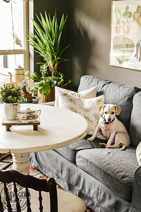 A few simple spring decorating ideas for the home. Light, bright, yellow and gold with pops of fresh greenery help me get my house feeling spring fresh. #springdecorating #springideas #springlivingroom