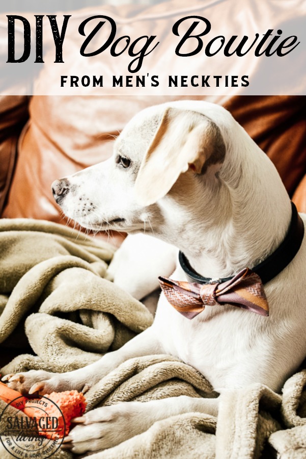 This dog bow tie DIY tutorial is special because we use vintage neckties for pet bow ties! Add some vintage style to your pooch's wardrobe with this easy bowtie tutorial! #dapperdog #dogbowtie #catbowtie #animalclothes #petaccessories #dogcollardiy #diypetaccessory