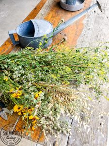 The perfect plant drying rack for your patio. If you want a French country feel on your porch then a vintage baby mattress spring is the best idea! Maybe you can even use it for a herb drying rack if you are a foodie! #herbdryingrack #diydryingrack #wildflowers #herbdrying #cozyporch #porchquilt