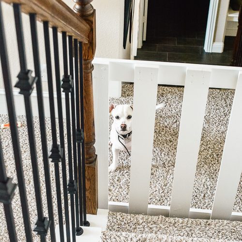 How to build a stylish stairway gate to keep pets or kids out! This easy DIY gate tutorial will look great and blend with your traditional decor. We keep our dog off the carpet with this pet gate. #petgate #stairgate #childproof #DIYpet #cleancarpet #doggate #petgatediy #petgateforstairs