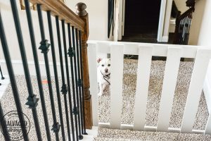 How to build a stylish stairway gate to keep pets or kids out! This easy DIY gate tutorial will look great and blend with your traditional decor. We keep our dog off the carpet with this pet gate. #petgate #stairgate #childproof #DIYpet #cleancarpet #doggate #petgatediy #petgateforstairs