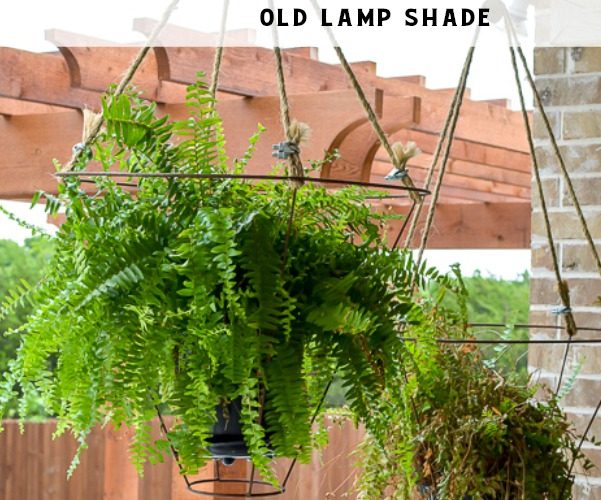 Unusual Outdoor Hanging Basket Idea