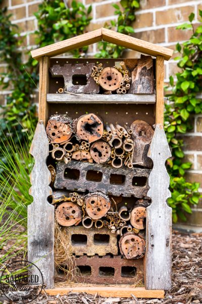 DIY Bug House Scrap Wood Project - Salvaged Living