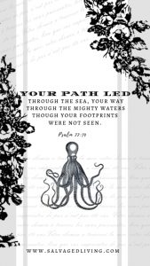 August Memory verse 2019: Your path led through the sea, your way through the mighty waters, though your footprints were not seen Psalm 77:19