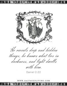 October 2019 Bible Memory Verse: He reveals deep and hidden things, he knows what lies in darkness, and light dwells with him. Daniel 2:22