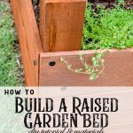 This DIY raised garden bed tutorial will give you step by step instructions on how to build a raised garden for your yard. If you have rock for soil, small living space or just want a movable garden this garden box is perfect for you. #raisedgarden #DIYwoodworking #gardening #flowergarden #vinatgegarden #raisedvegetablegarden #raisedflowerbeds #gardenideas