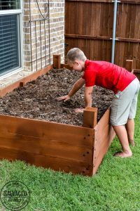 Learn how to spray stain on wood along with tips on how to clean your srpayer when you spray an oil based stain. HINT: it is so much easier than you think! This DIY raised garden bed got a spray stain that will help the wood look good and last longer and it only took minutes to do,. #wagnerspraytech #spraystain #oilbasedstain #paintcleanup #sprayertips #stainedwood #flowergarden #vegetablegarden #raisedbed #landscapedecor #fencestain #diyfencestain