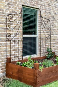 Learn how to spray stain on wood along with tips on how to clean your srpayer when you spray an oil based stain. HINT: it is so much easier than you think! This DIY raised garden bed got a spray stain that will help the wood look good and last longer and it only took minutes to do,. #wagnerspraytech #spraystain #oilbasedstain #paintcleanup #sprayertips #stainedwood #flowergarden #vegetablegarden #raisedbed #landscapedecor #fencestain #diyfencestain