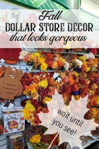 Get your fun fall decor ideas here all the fall craft projects are from the dollar store! This fall banner is so wuick and easy to make for your cozy fall home! #dollartree #dollarstorecraft #dollarstorehacks #falldecorideas #forthehome #dropclothprojects #dollartreediy