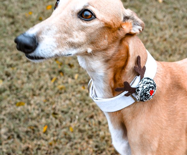 Make the cutest holiday crafts from ribbon with these ribbon rosette craft ideas. Perfect for a Christmas pet collar or simple Thanksgiving home decor you can use these crafts for a variety of holiday home decorating ideas! Great to make with the kids for a holiday craft you can do together. #christmascrafts #easyornaments #thanksgivingcraft #DIYholidaydecorcraft