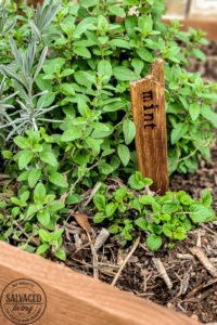 how to make diy herb garden markers for your garden with simple supplies for garden markers that will last inside or out. They make cute farmhouse decor for your indoor potted plants as well. #gardencraft #gardenstake #raisedgardenidea