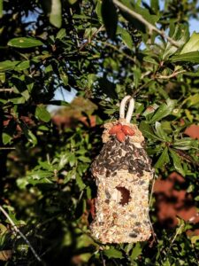 This edible glue is easy to make and use to decorate bird seed birdhouses or bundt pan suets. Make beautiful yard art that the birds will love and make your yard a wildlife wonderland! #birdfeeder #decorativebirdhouse #feedthebirds