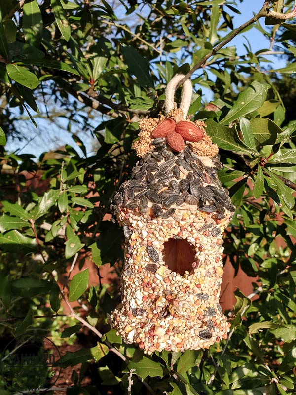 This edible glue is easy to make and use to decorate bird seed birdhouses or bundt pan suets. Make beautiful yard art that the birds will love and make your yard a wildlife wonderland! #birdfeeder #decorativebirdhouse #feedthebirds