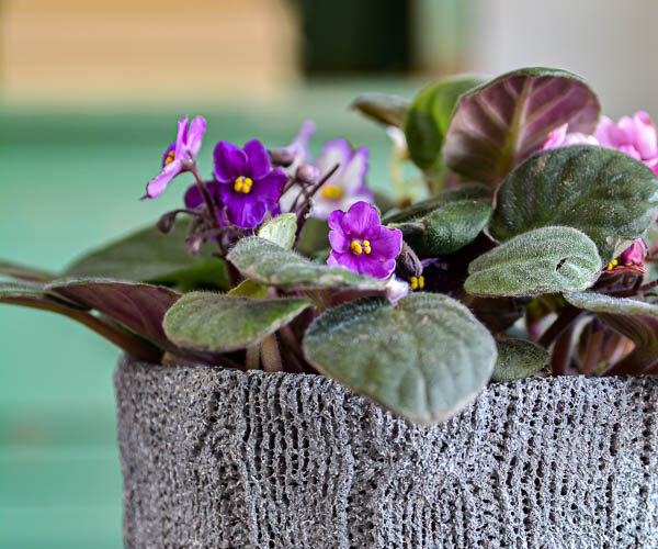 Wonder what to do with an old sweater? Try this upcycled sweater and dollar store pot makeover. You won't believe how cute this project turned out! Perfect for a Mother's Day gift or cozy home decor. #DIYproject #mothersday #upcycle #springrefresh #mothersdaygift #pottery #sponsored