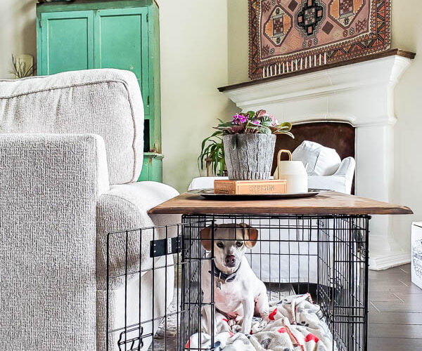 Learn how to build a tabletop for your dog crate or kennel and make an eyesore of a pet product into pretty pet furniture! #stylishpetdecor #petideas #dogcrate #dogkennelfurniture