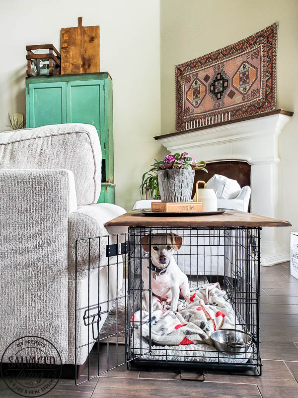Learn how to build a tabletop for your dog crate or kennel and make an eyesore of a pet product into pretty pet furniture! #stylishpetdecor #petideas #dogcrate #dogkennelfurniture