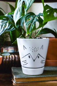 Download this free printout of animal face designs to use in crafting. Try these easy animal faces on your terra cotta pots with Rust-Oleum's new Chrome Paint Pen for fun home decor on a budget. This is the perfect planter makeover with stunning gold or silver metallic it is sure to blend with your decor style. I've become a crazy plant lady and decorating terracotta pots is a fun craft that is useful for my houseplants! #plantlady #paintpen #chromedecor #terracottaidea #Rustoleum #RustoleumImagine #DIYProject