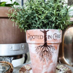 rooted in Christ finished terra cotta pot